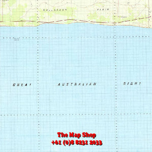 4934 Yangoonabie Topographic Map
